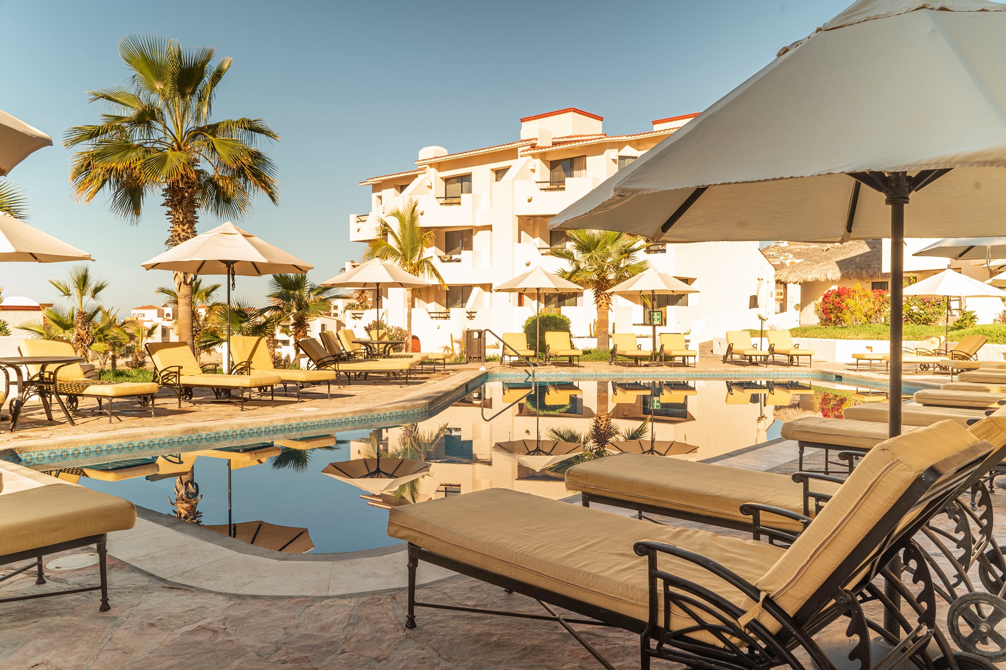 Solmar Resort Cabo San Lucas picture