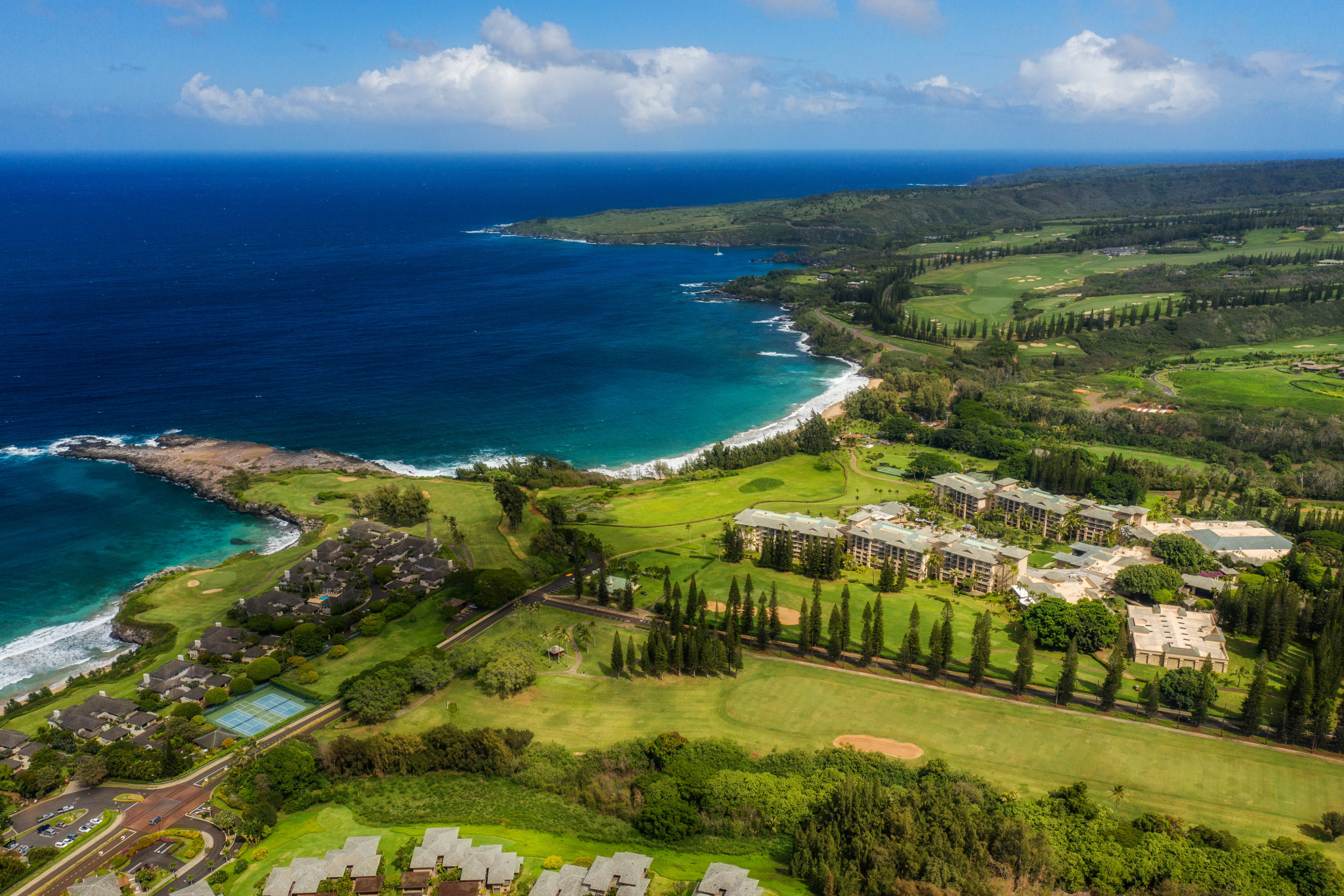 The Ritz Carlton, Maui Kapalua picture